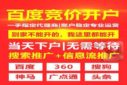 SEM运营策略案例分析